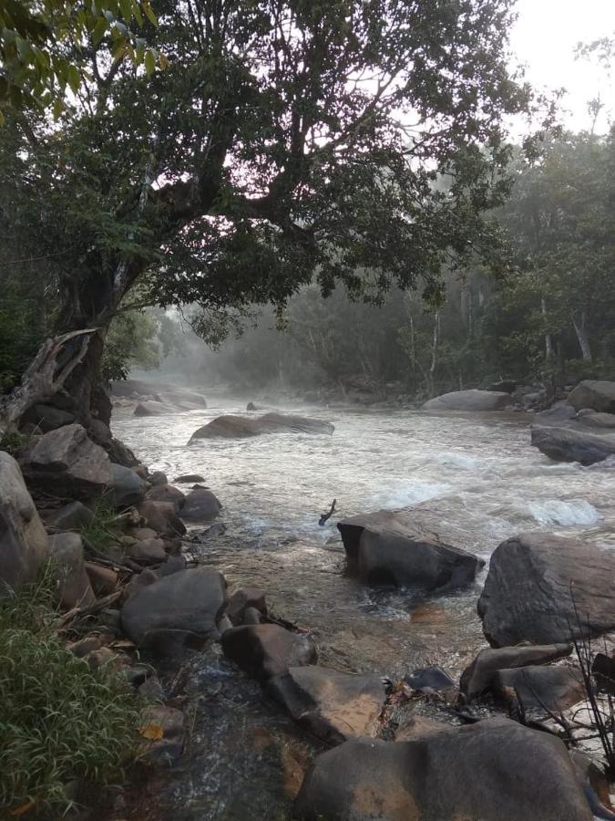 Coorg River Rock Camping Madikeri Exterior photo