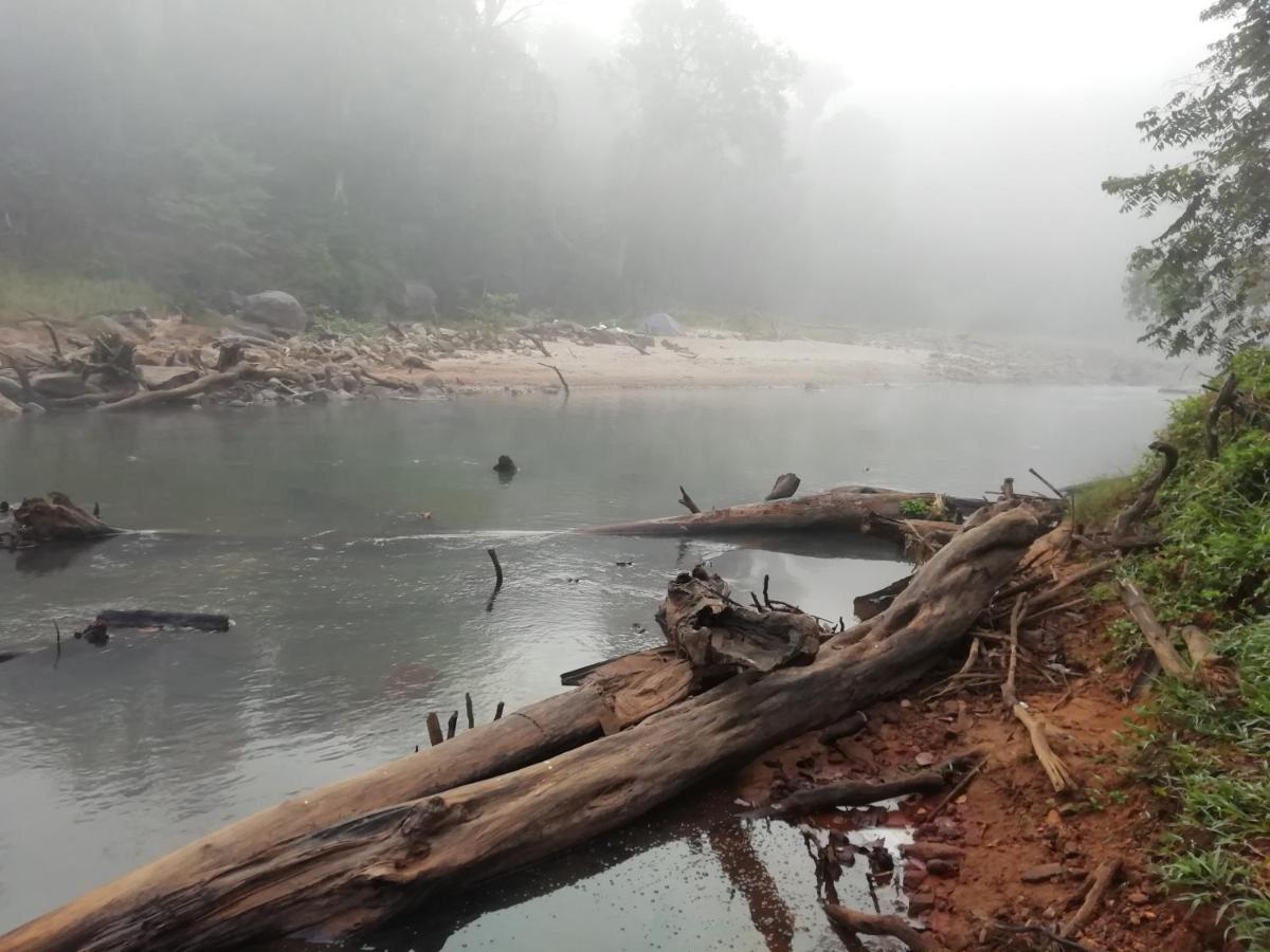 Coorg River Rock Camping Madikeri Exterior photo