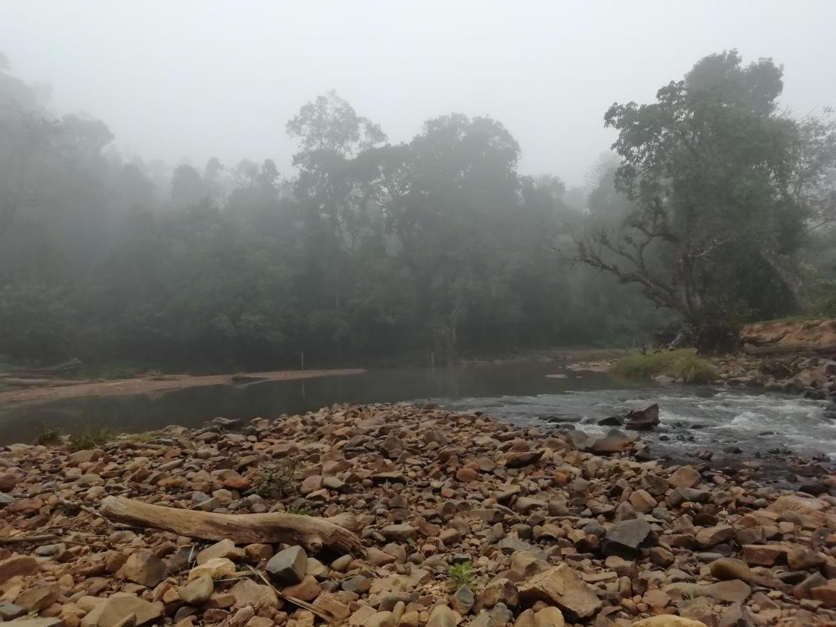 Coorg River Rock Camping Madikeri Exterior photo